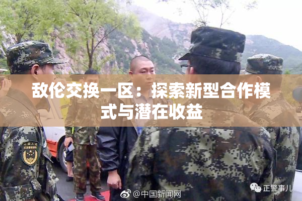 敌伦交换一区：探索新型合作模式与潜在收益