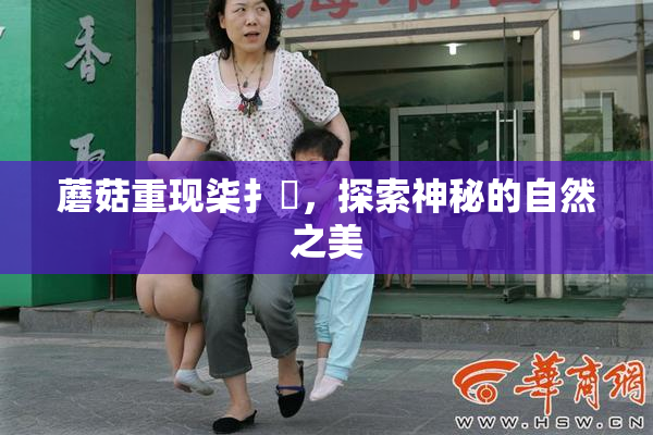 蘑菇重现柒扌畐，探索神秘的自然之美