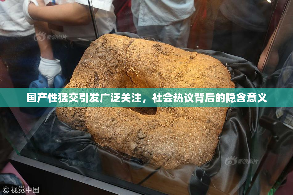国产性猛交引发广泛关注，社会热议背后的隐含意义