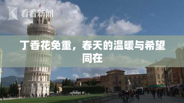 丁香花免重，春天的温暖与希望同在