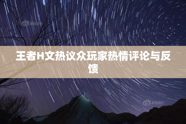 王者H文热议众玩家热情评论与反馈