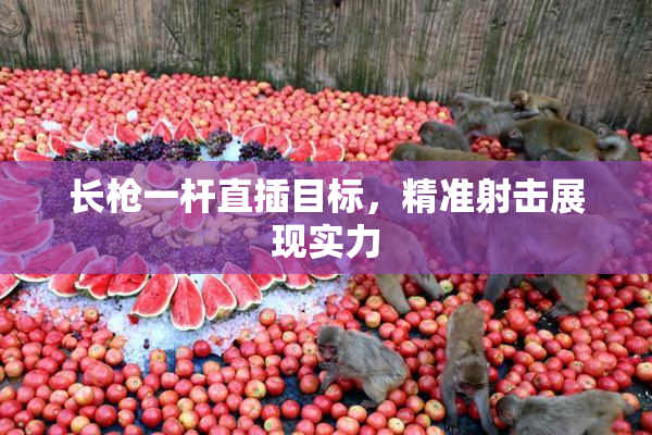 长枪一杆直插目标，精准射击展现实力