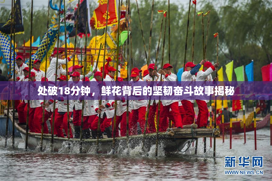 处破18分钟，鲜花背后的坚韧奋斗故事揭秘