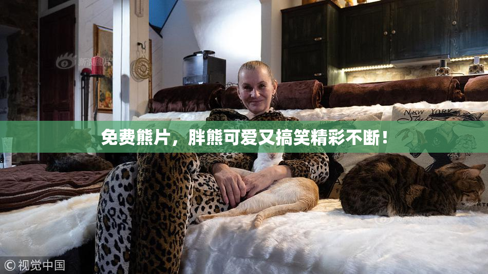 免费熊片，胖熊可爱又搞笑精彩不断！