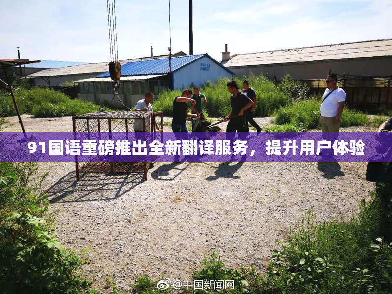 91国语重磅推出全新翻译服务，提升用户体验