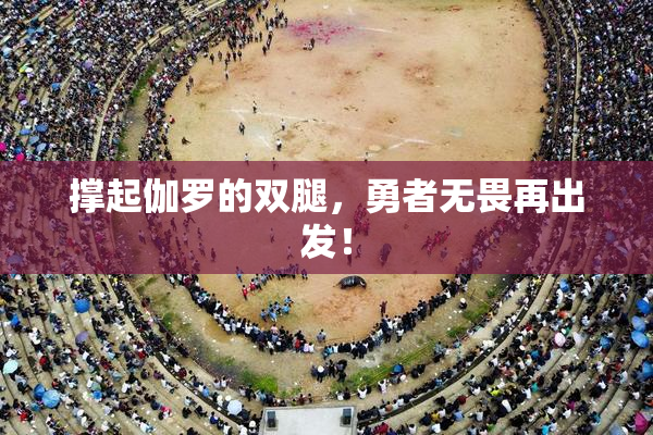 撑起伽罗的双腿，勇者无畏再出发！
