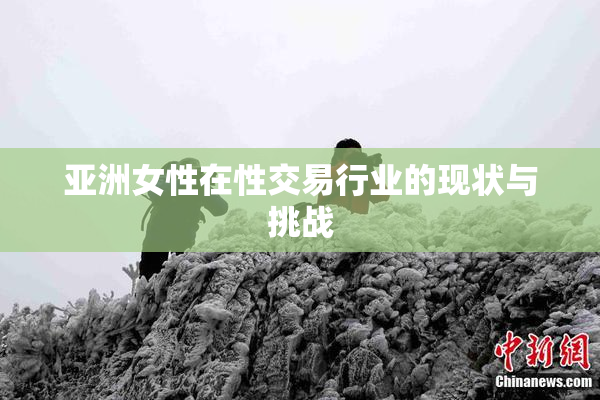 亚洲女性在性交易行业的现状与挑战