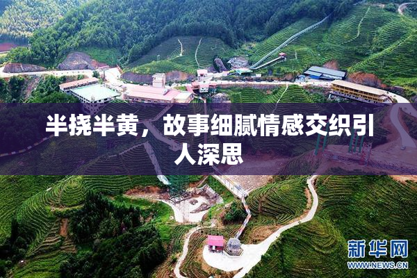 半挠半黄，故事细腻情感交织引人深思
