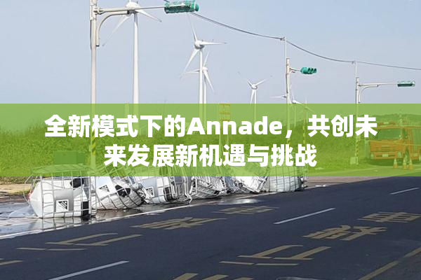 全新模式下的Annade，共创未来发展新机遇与挑战