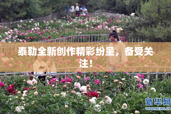 泰勒全新创作精彩纷呈，备受关注！