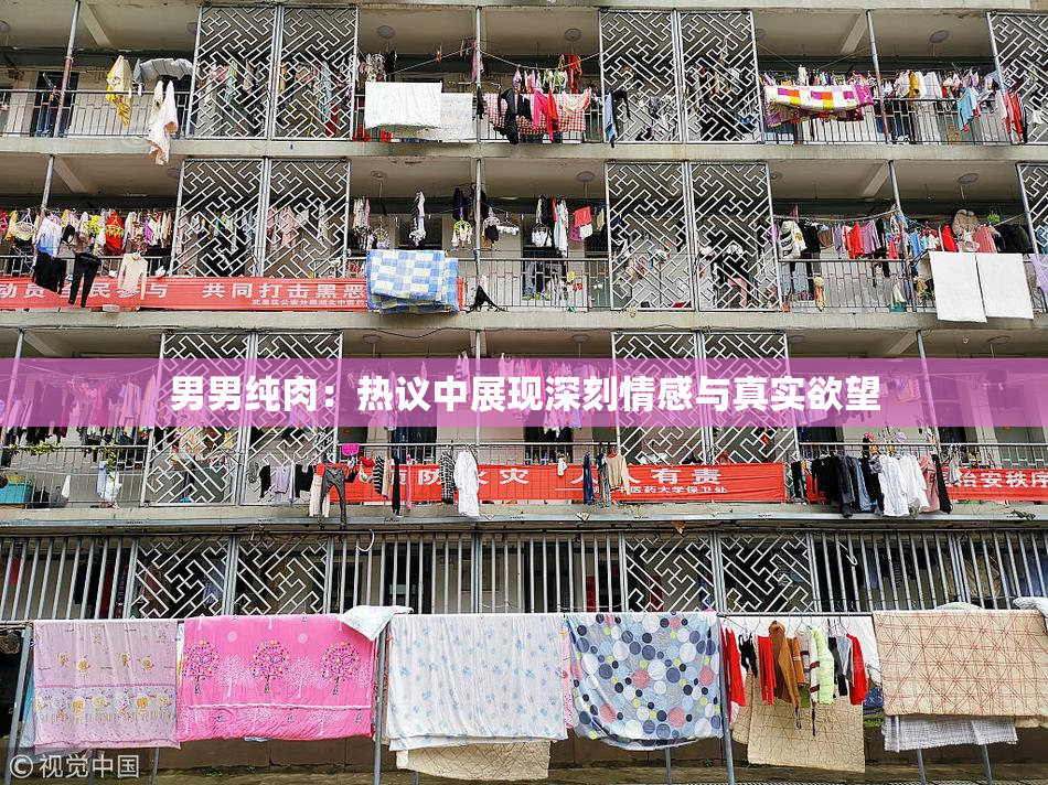 男男纯肉：热议中展现深刻情感与真实欲望