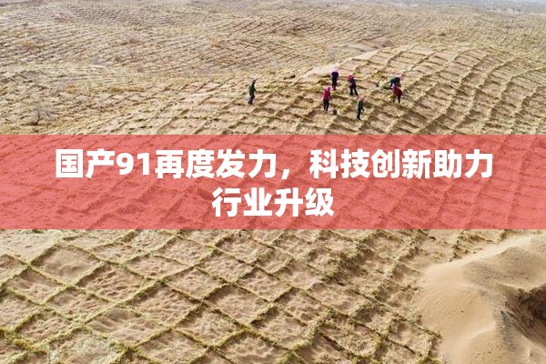 国产91再度发力，科技创新助力行业升级
