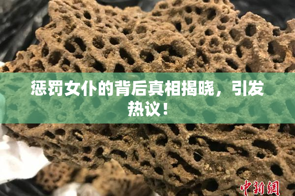 惩罚女仆的背后真相揭晓，引发热议！
