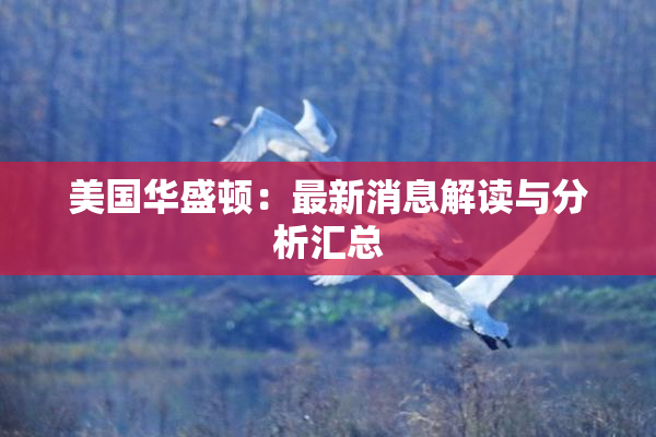 美国华盛顿：最新消息解读与分析汇总