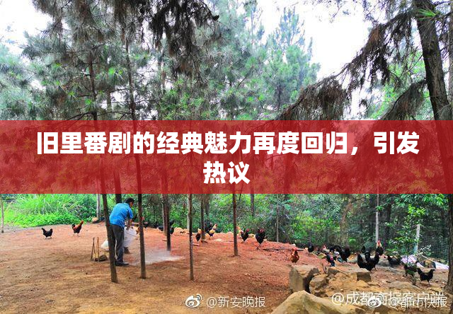 旧里番剧的经典魅力再度回归，引发热议