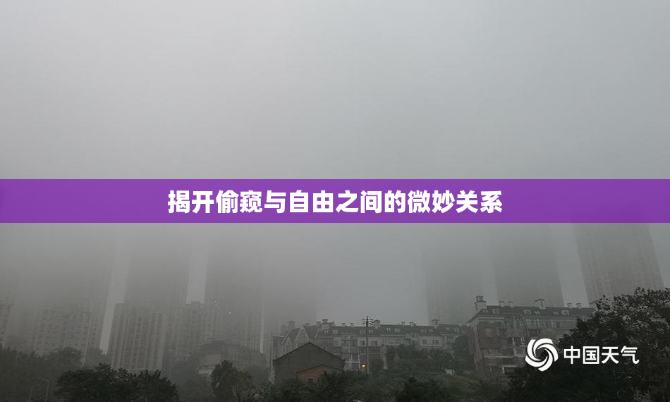 揭开偷窥与自由之间的微妙关系