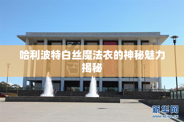 哈利波特白丝魔法衣的神秘魅力揭秘