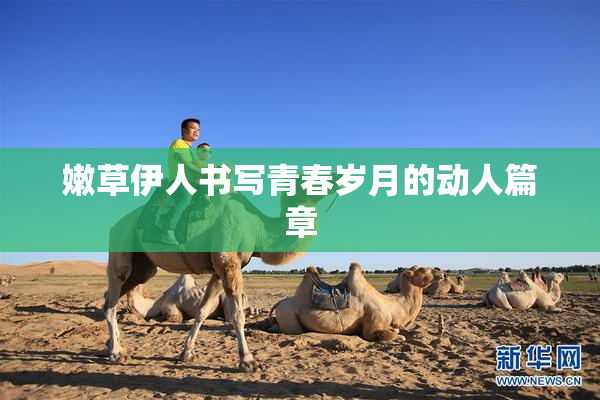 嫩草伊人书写青春岁月的动人篇章