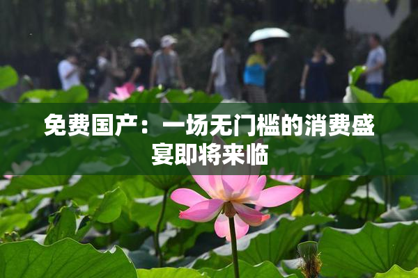 免费国产：一场无门槛的消费盛宴即将来临