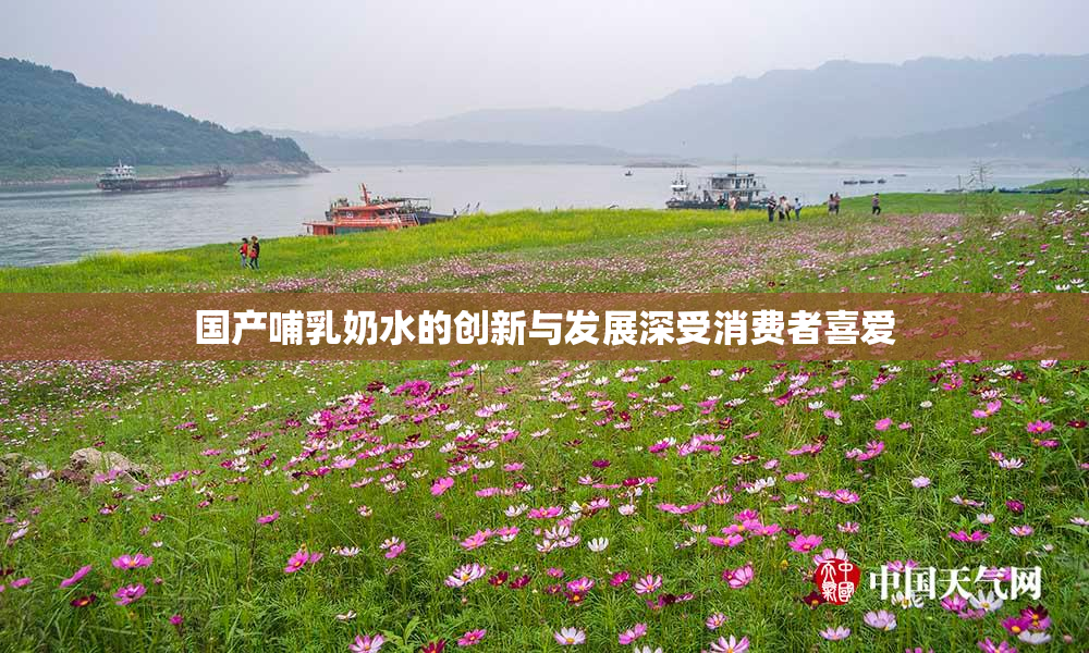 国产哺乳奶水的创新与发展深受消费者喜爱