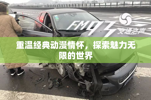 重温经典动漫情怀，探索魅力无限的世界