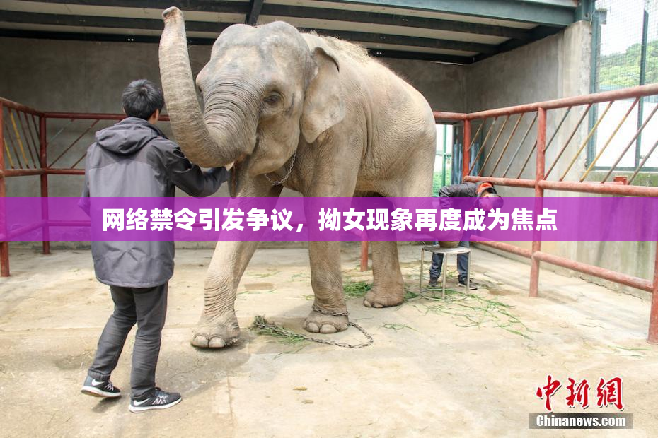 网络禁令引发争议，拗女现象再度成为焦点