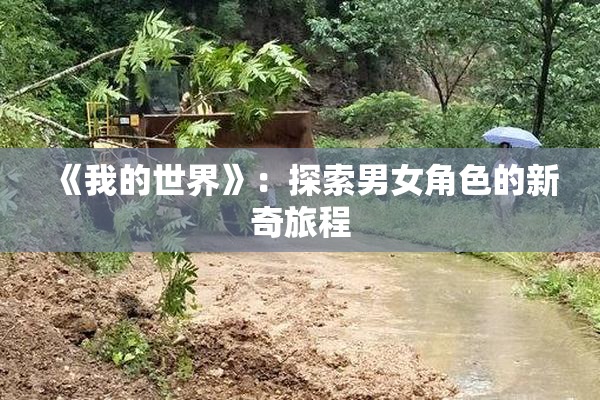 《我的世界》：探索男女角色的新奇旅程