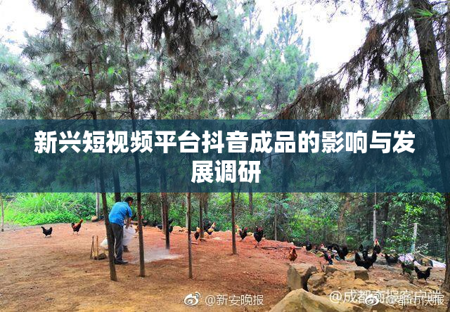 新兴短视频平台抖音成品的影响与发展调研