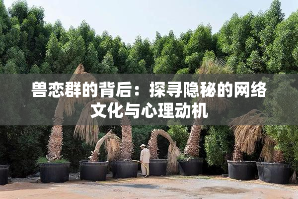 兽恋群的背后：探寻隐秘的网络文化与心理动机