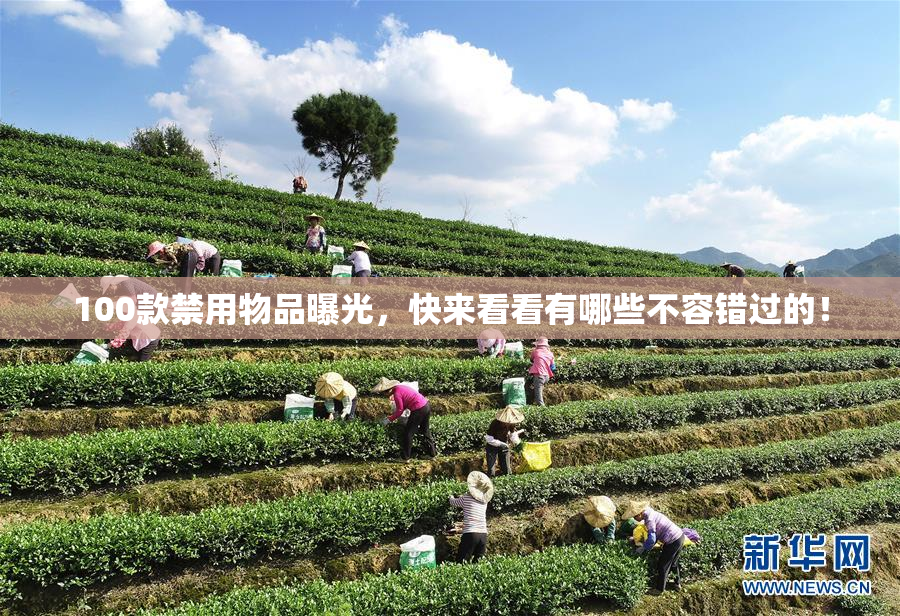 100款禁用物品曝光，快来看看有哪些不容错过的！