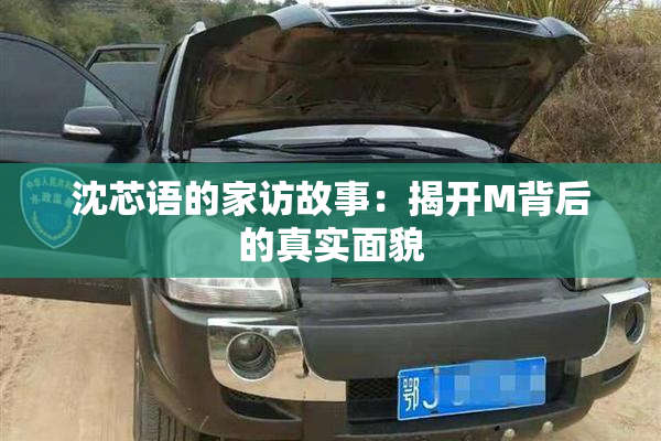 沈芯语的家访故事：揭开M背后的真实面貌