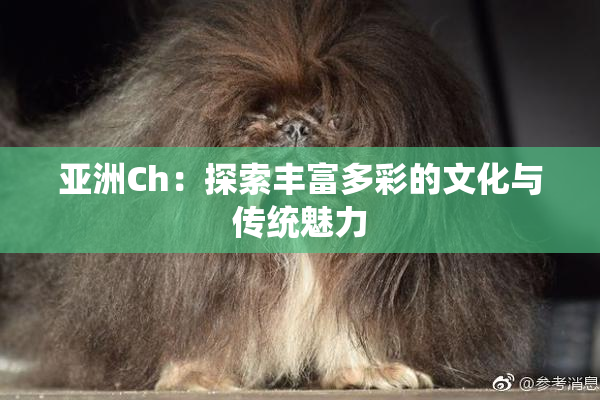 亚洲Ch：探索丰富多彩的文化与传统魅力