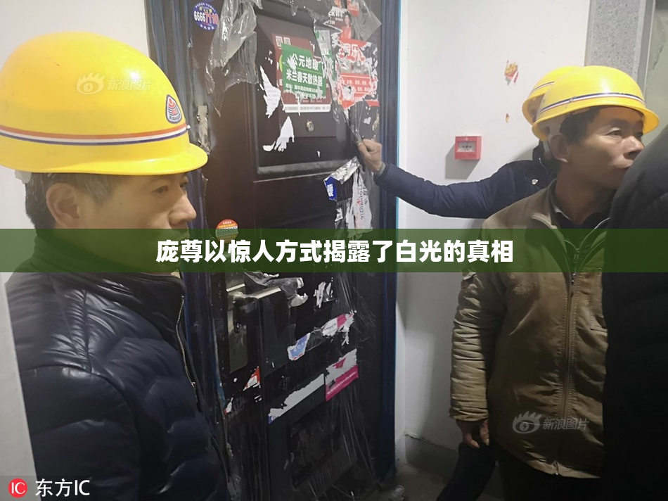 庞尊以惊人方式揭露了白光的真相