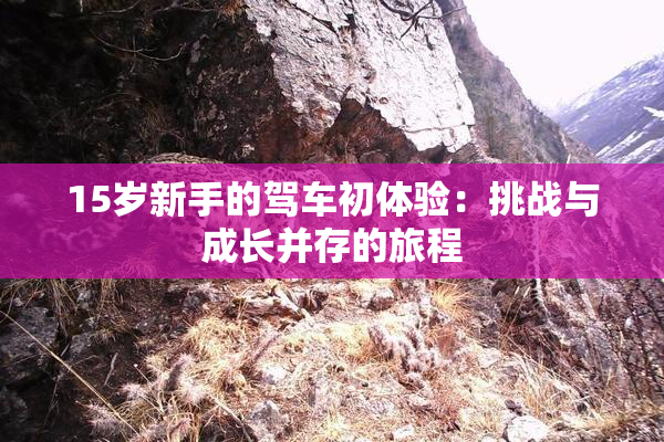 15岁新手的驾车初体验：挑战与成长并存的旅程