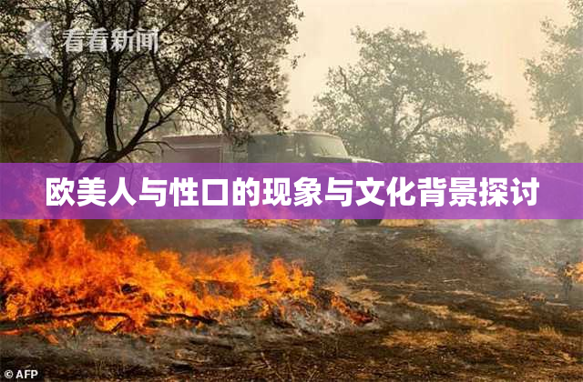 欧美人与性口的现象与文化背景探讨