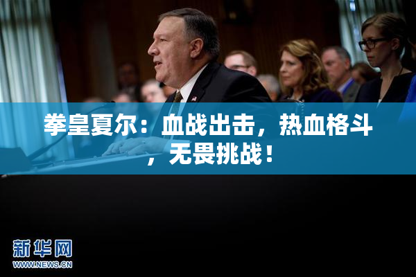 拳皇夏尔：血战出击，热血格斗，无畏挑战！