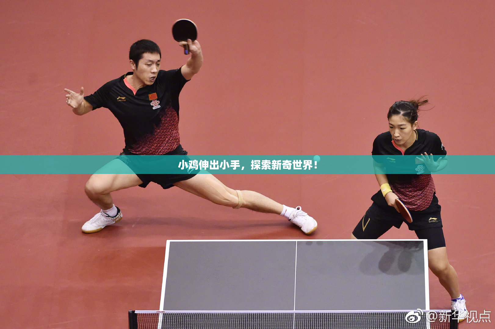 小鸡伸出小手，探索新奇世界！