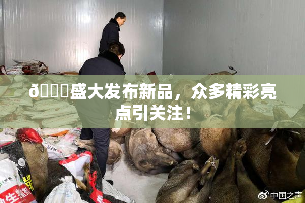 🔞盛大发布新品，众多精彩亮点引关注！