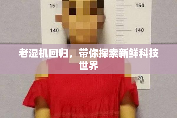 老湿机回归，带你探索新鲜科技世界