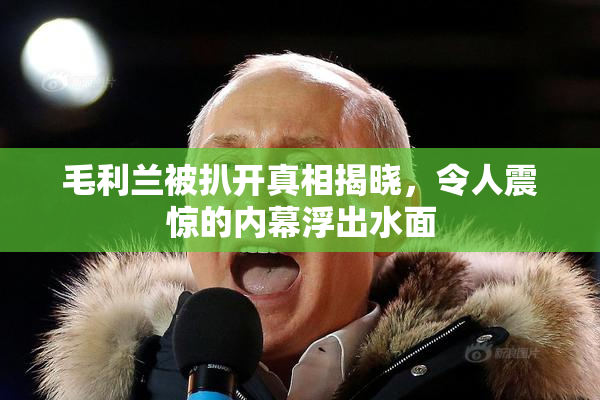 毛利兰被扒开真相揭晓，令人震惊的内幕浮出水面