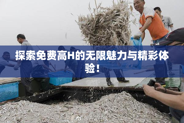 探索免费高H的无限魅力与精彩体验！