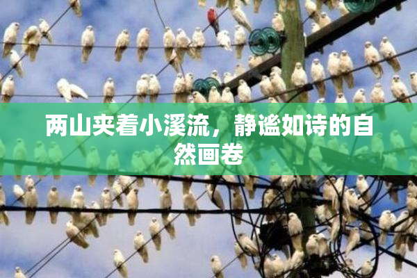 两山夹着小溪流，静谧如诗的自然画卷