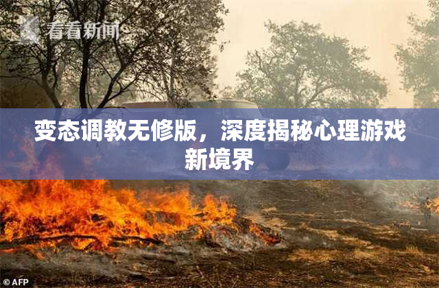 变态调教无修版，深度揭秘心理游戏新境界