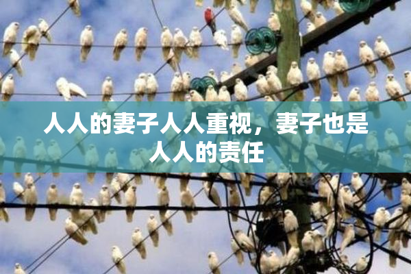 人人的妻子人人重视，妻子也是人人的责任