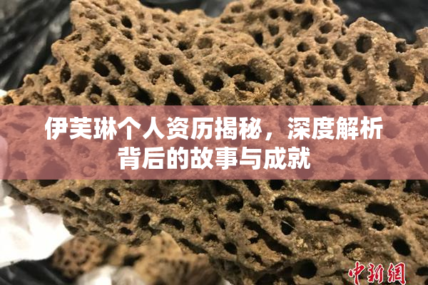 伊芙琳个人资历揭秘，深度解析背后的故事与成就