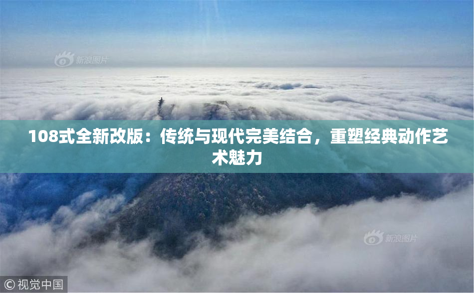 108式全新改版：传统与现代完美结合，重塑经典动作艺术魅力