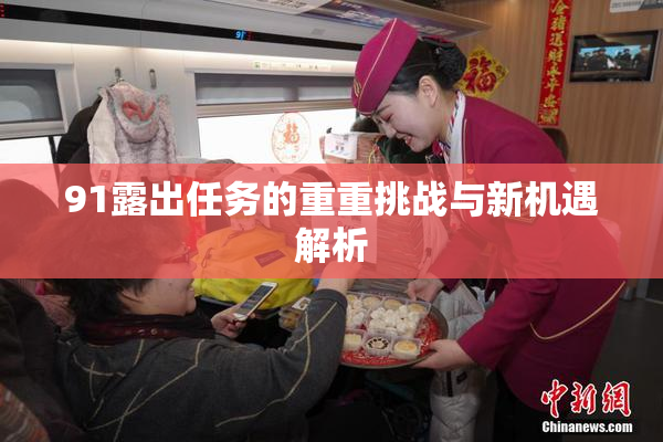 91露出任务的重重挑战与新机遇解析
