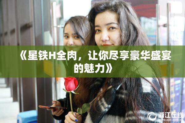 《星铁H全肉，让你尽享豪华盛宴的魅力》