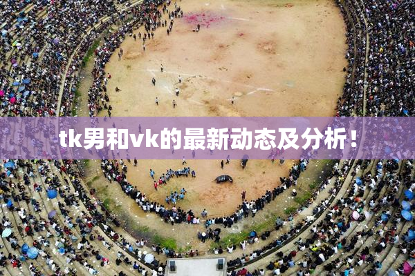 tk男和vk的最新动态及分析！