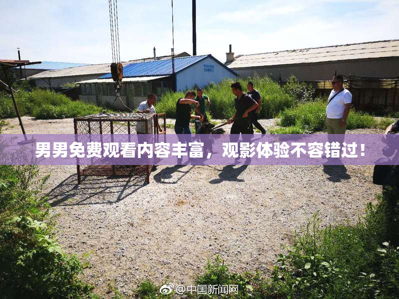 男男免费观看内容丰富，观影体验不容错过！